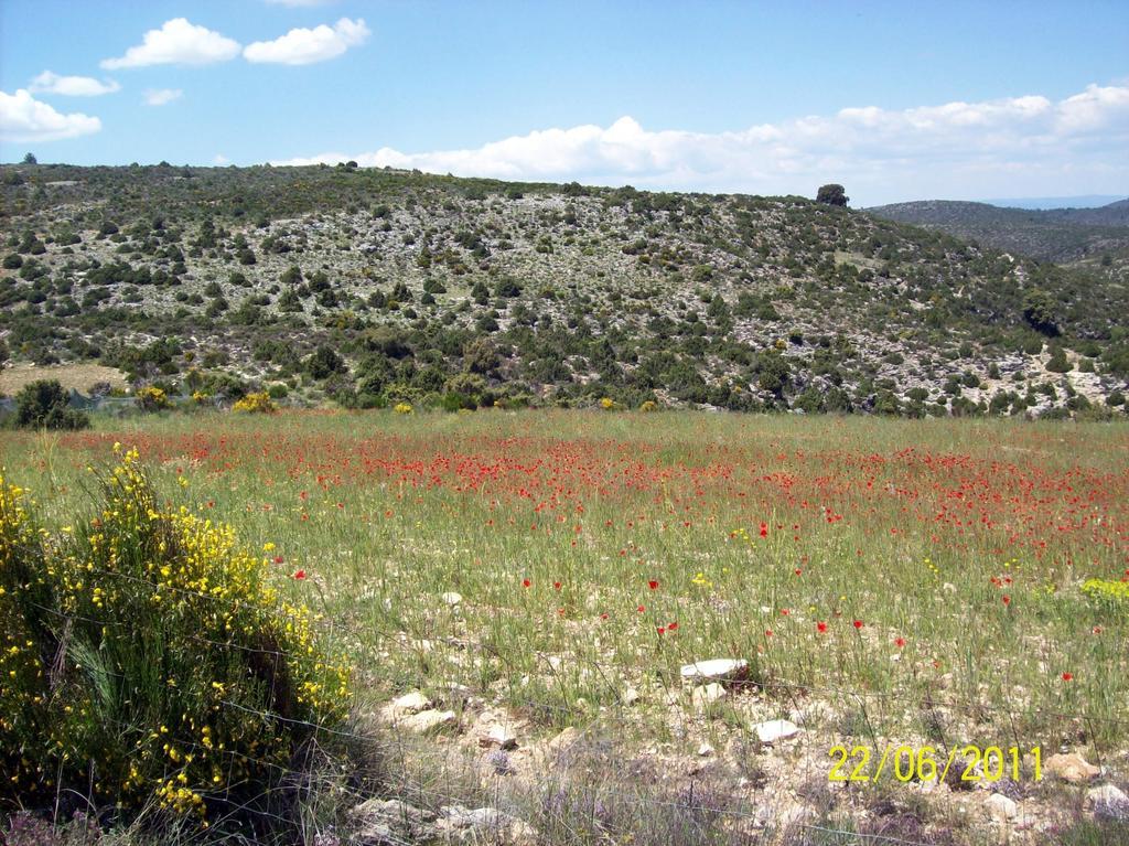 Sol Mediterraneo Archena Kültér fotó