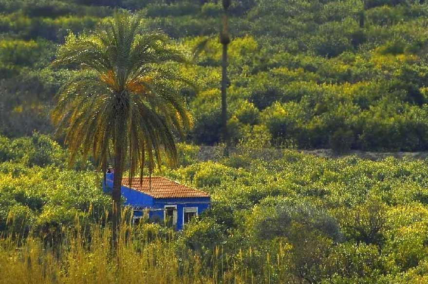 Sol Mediterraneo Archena Kültér fotó