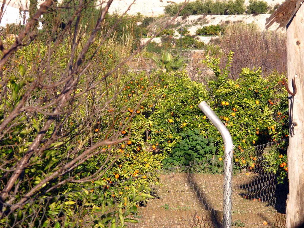 Sol Mediterraneo Archena Kültér fotó
