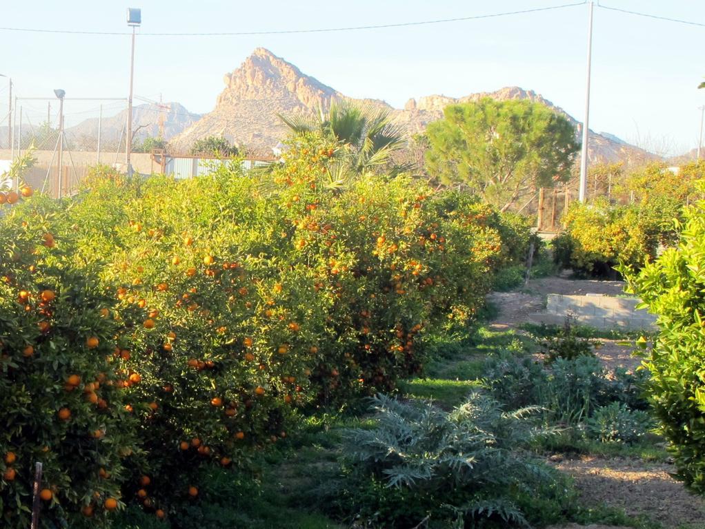 Sol Mediterraneo Archena Kültér fotó