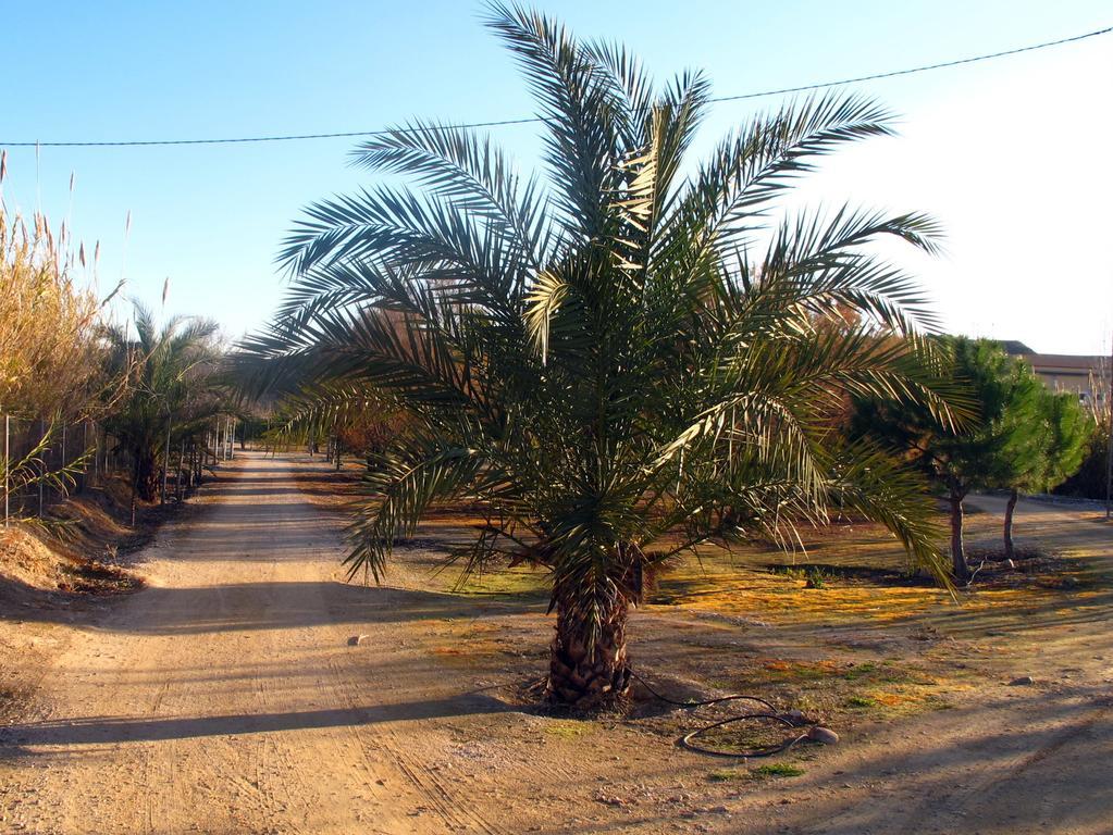 Sol Mediterraneo Archena Kültér fotó